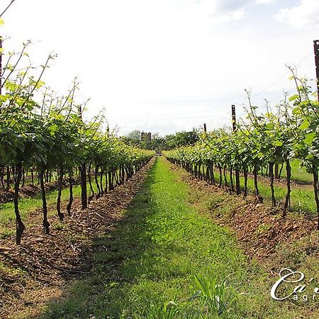 Agriturismo Ca'Mattei Pescantina Exterior foto