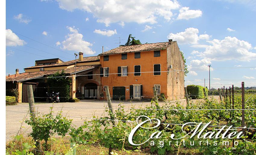 Agriturismo Ca'Mattei Pescantina Exterior foto